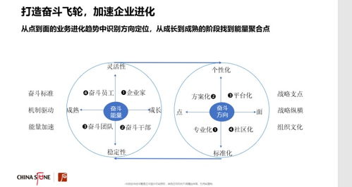 加速奮斗型組織進化 構(gòu)建系統(tǒng)化文化管理體系的完整指南